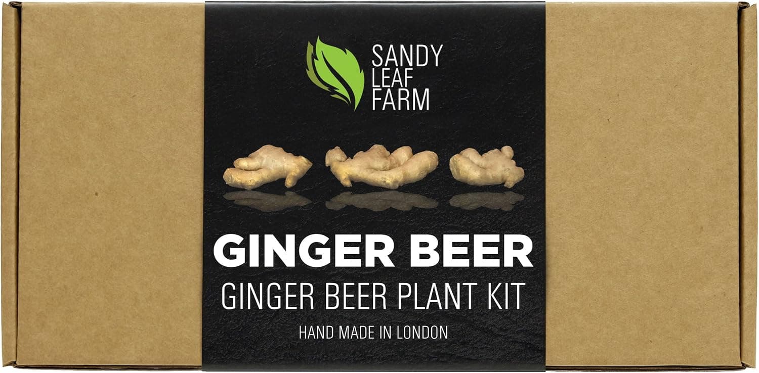 Best Ginger Beer Plants