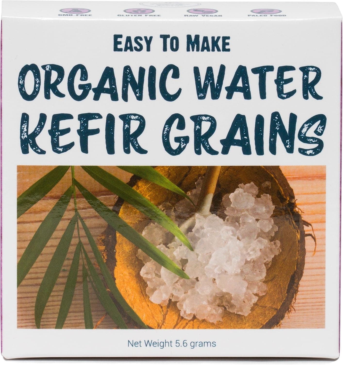 Best Water Kefir Kits