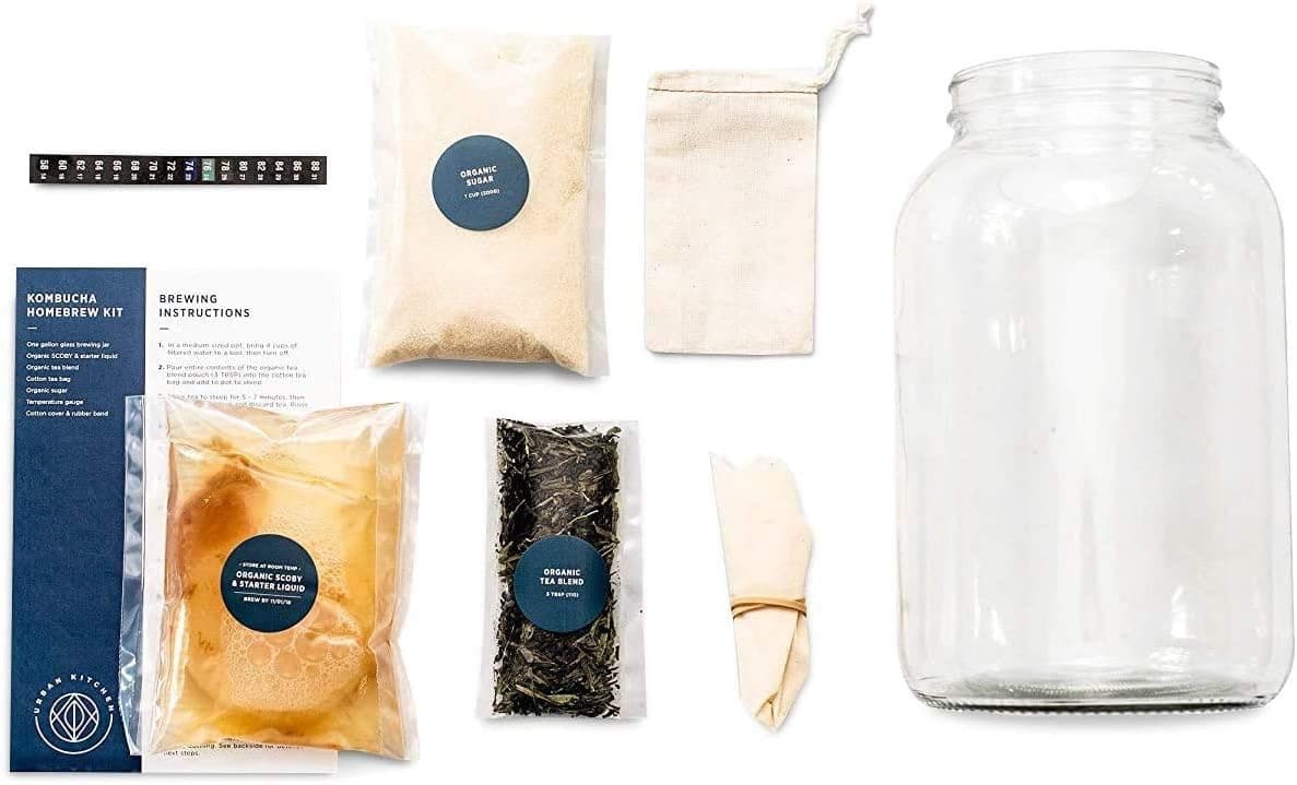 Urban Kitchen Kombucha Starter Kit with Organic SCOBY, Starter Liquid, 1 Gallon Glass Jar and Temp Gauge