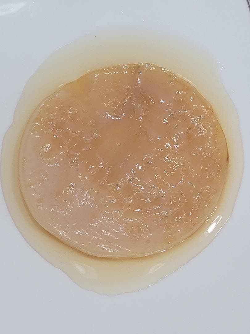 Authentic Jun SCOBY with Starter for 1 Quart Batch - Fermented Tea Culture