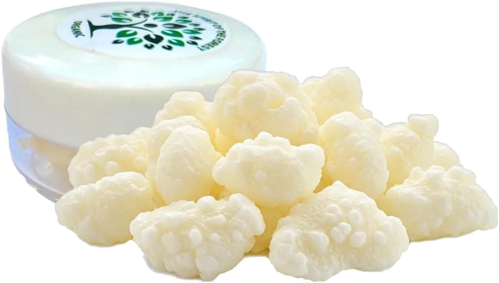 The Spirit Of The Forest Milk Kefir Live Grains, Live Active Starter Cultures