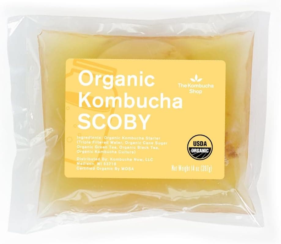 The Kombucha Shop 100% Organic SCOBY Kombucha Starter Kit - Fresh Live Culture with Starter Liquid