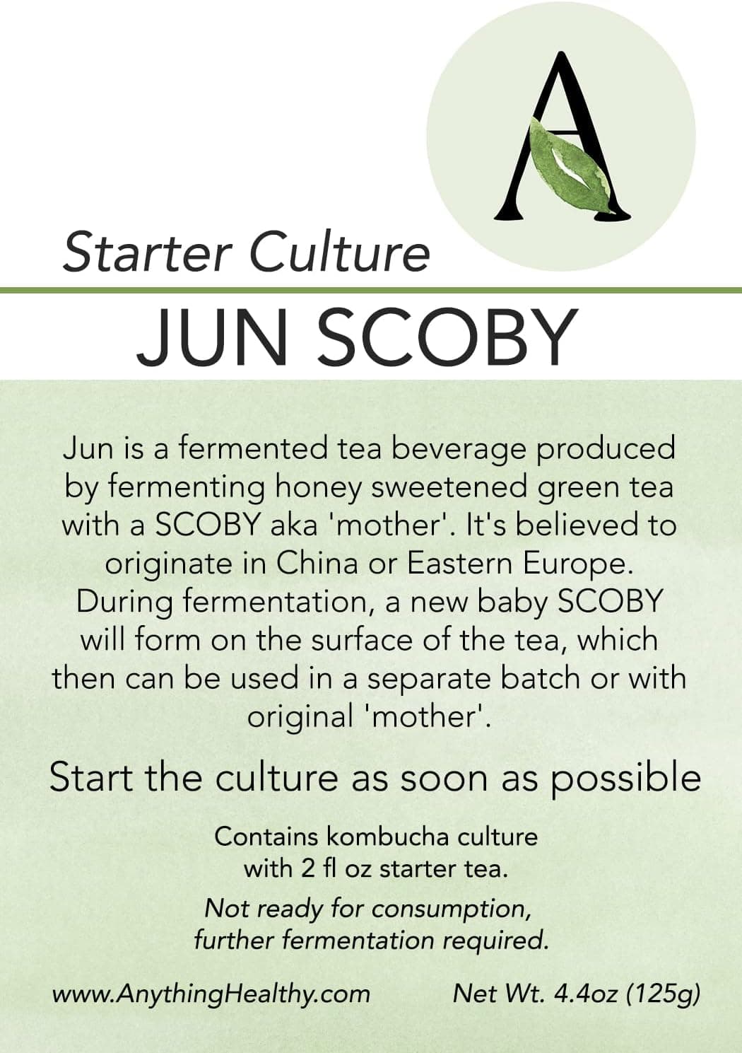 Anything Healthy Authentic Honey Jun SCOBY with Starter for 1 Quart Batch