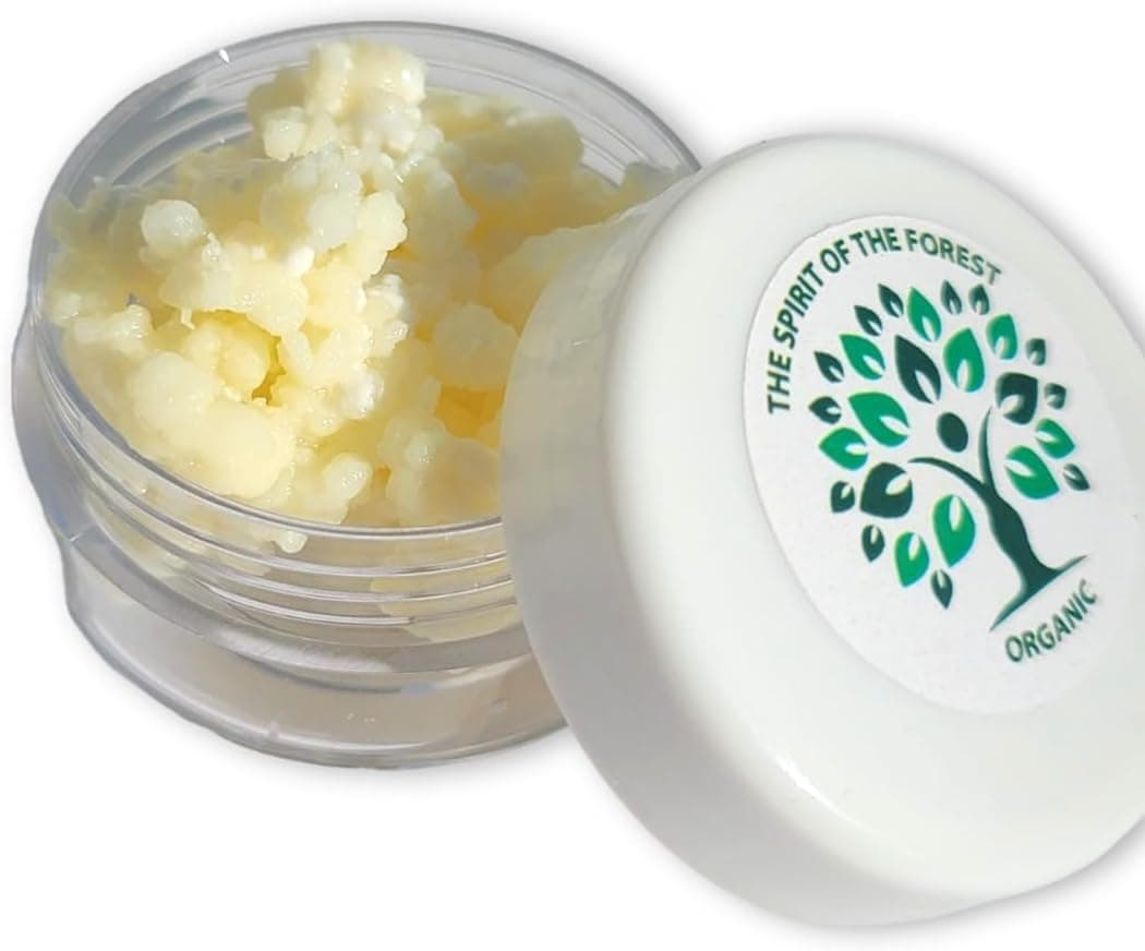 1 Tsp Live Milk Kefir Grains Starter Culture, Pajaritos Bulgaros de Leche