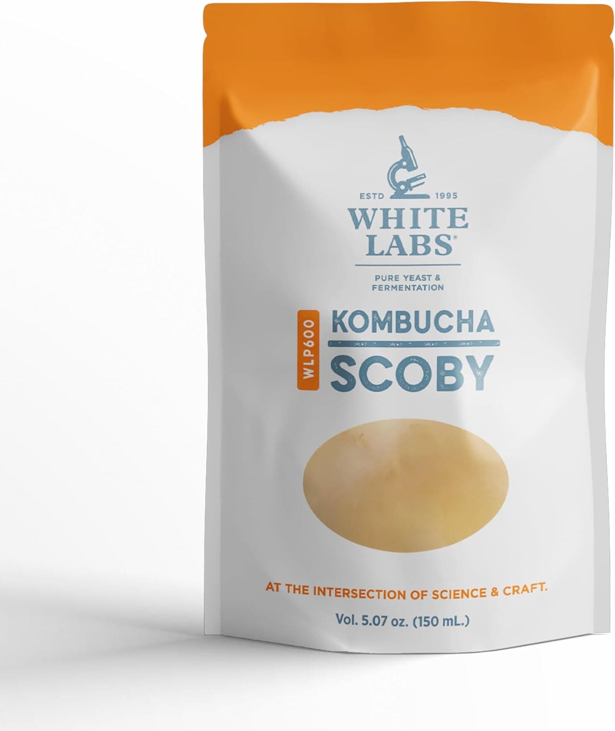 Best SCOBY Starter Kits