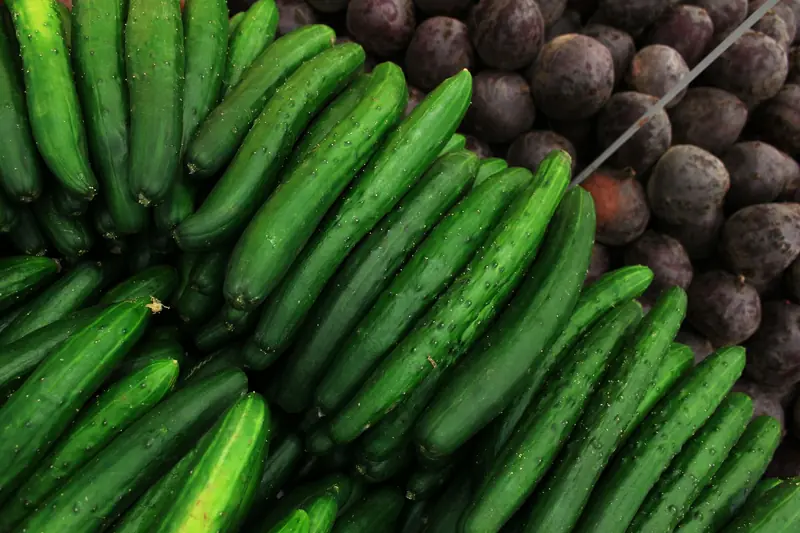 Vibrant stack of fresh organic cucumbers displayed at a local market