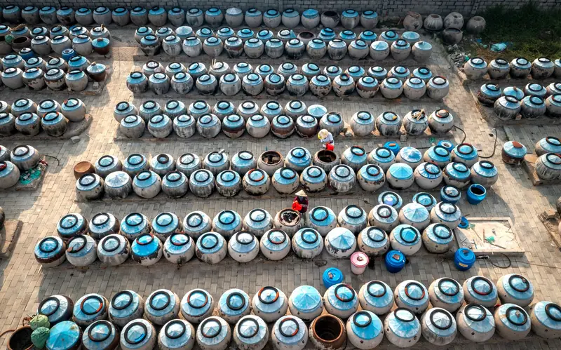 Rows of fish sauce jars in a Vietnamese courtyard, showcasing traditional fermentation and local culture