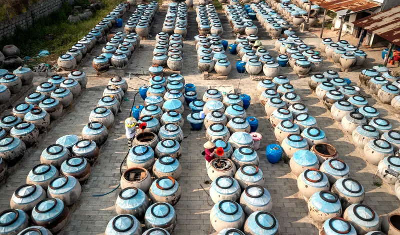 Aerial view of stone jars used for fermentation in a rural setting, Vietnam